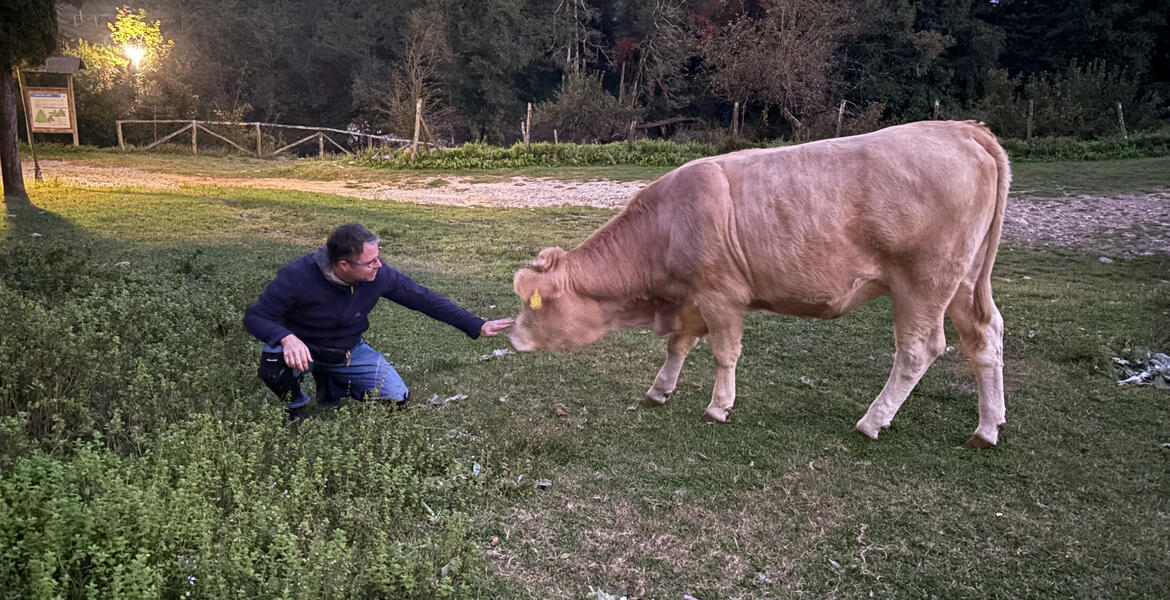 Vidéki olasz szállásunk Bagni di Lucca környékén